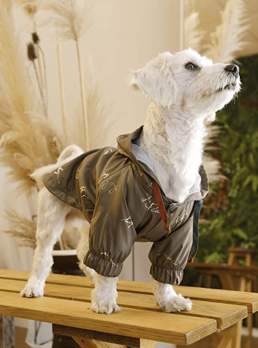 Küçük ve Orta Irk Köpekler İçin Şık Haki Yağmurluk